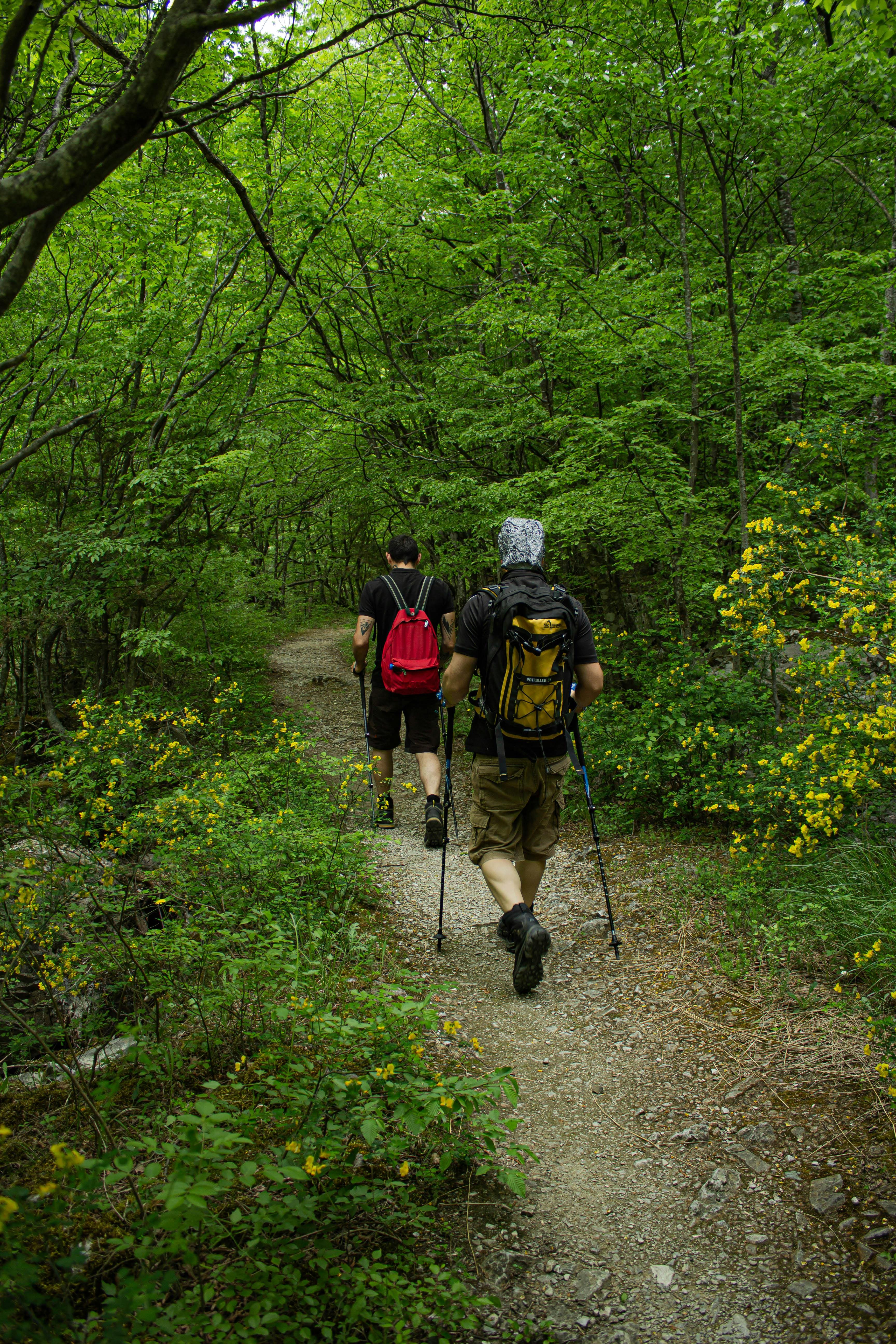 Hiking Along a Mountain Trail