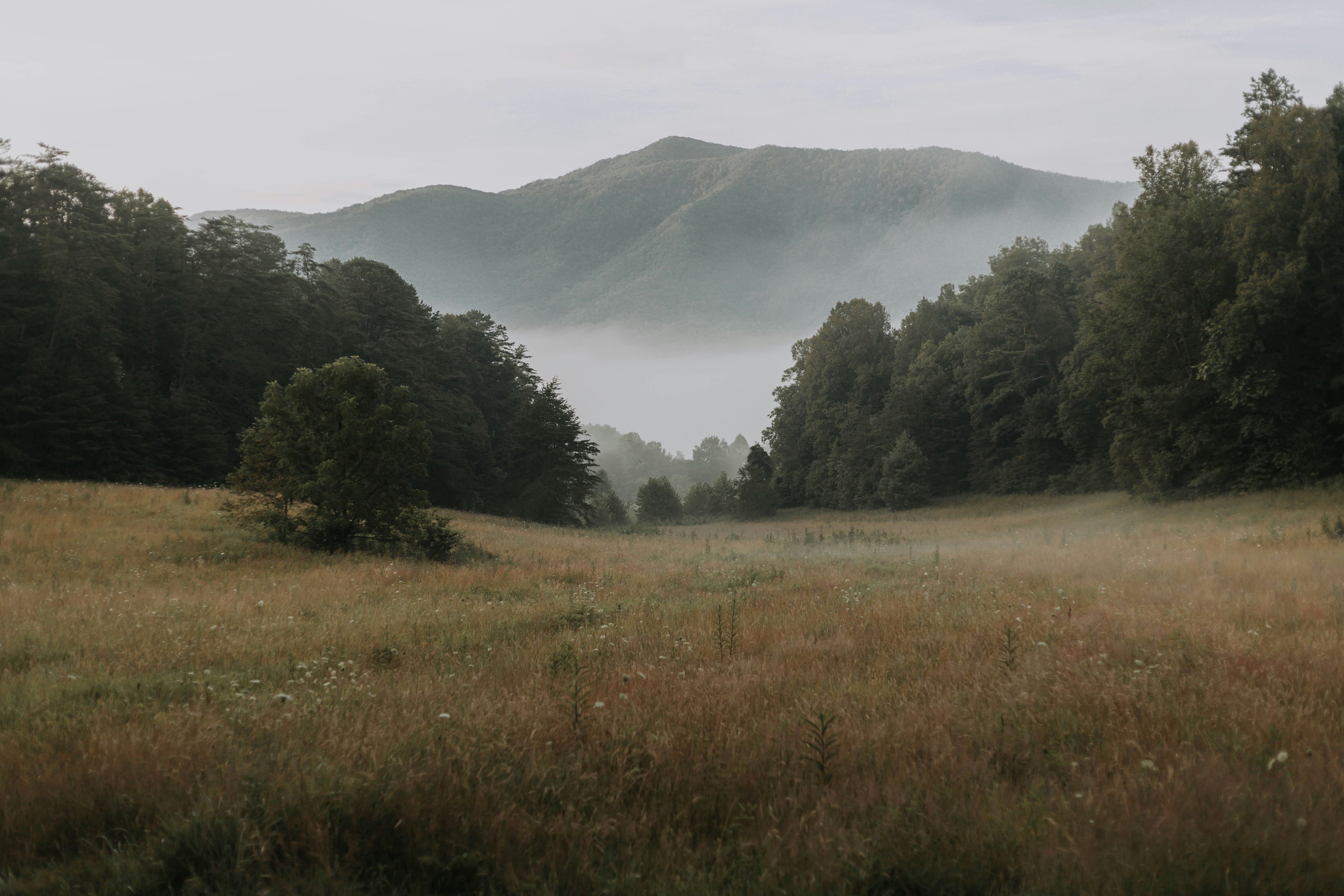 Smoky Mountain Trails