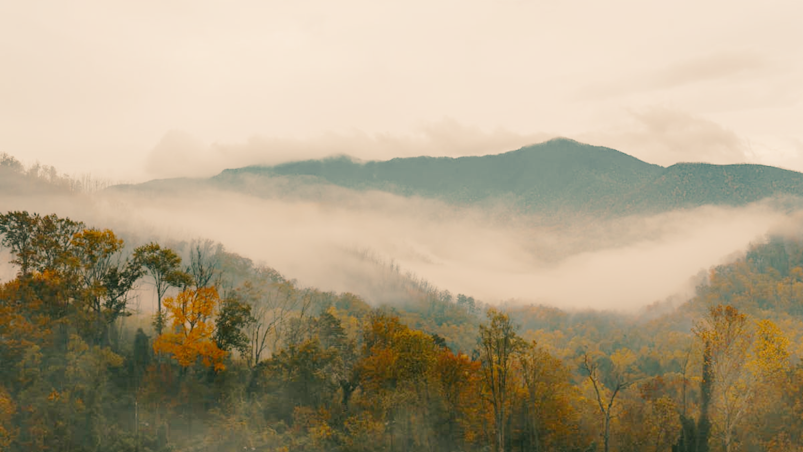 Smoky