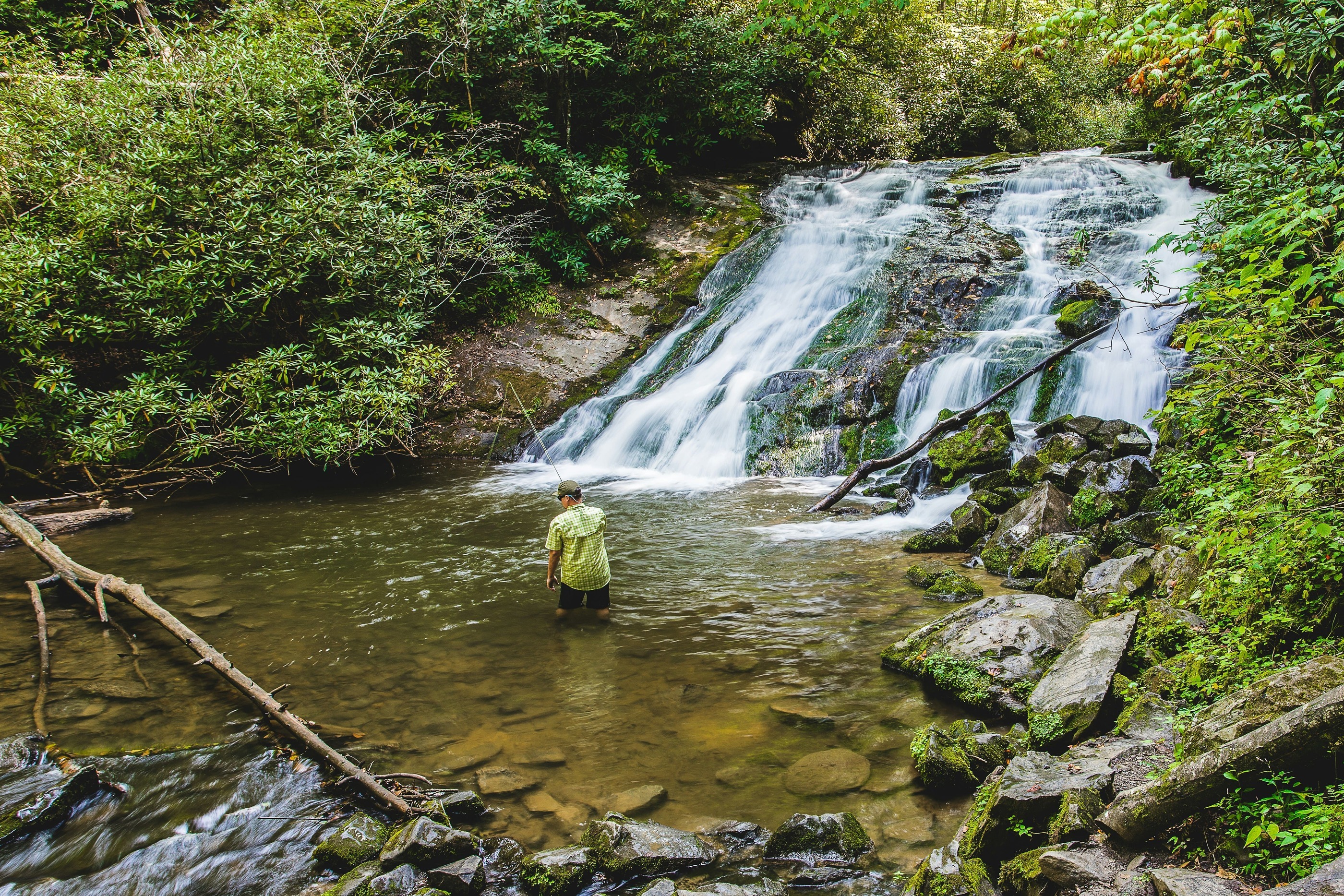 delaney-van-ZbmkKj-LYY8-unsplash (1) (1)