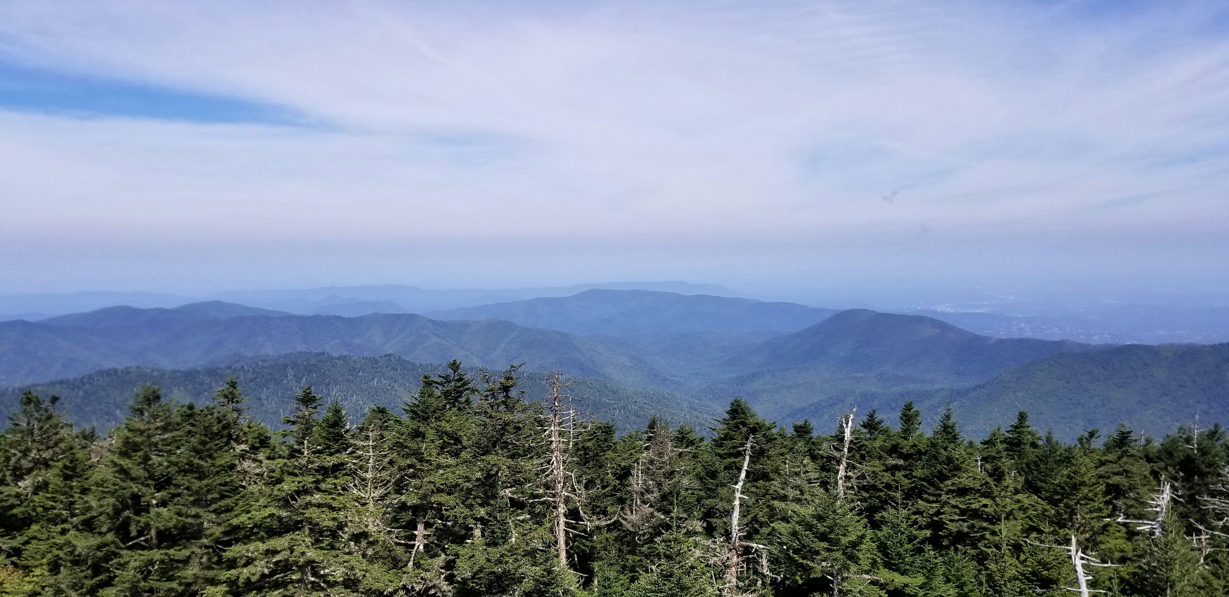 frank-thiemonge-IACJ4iQTbOA-unsplash (1) (1)