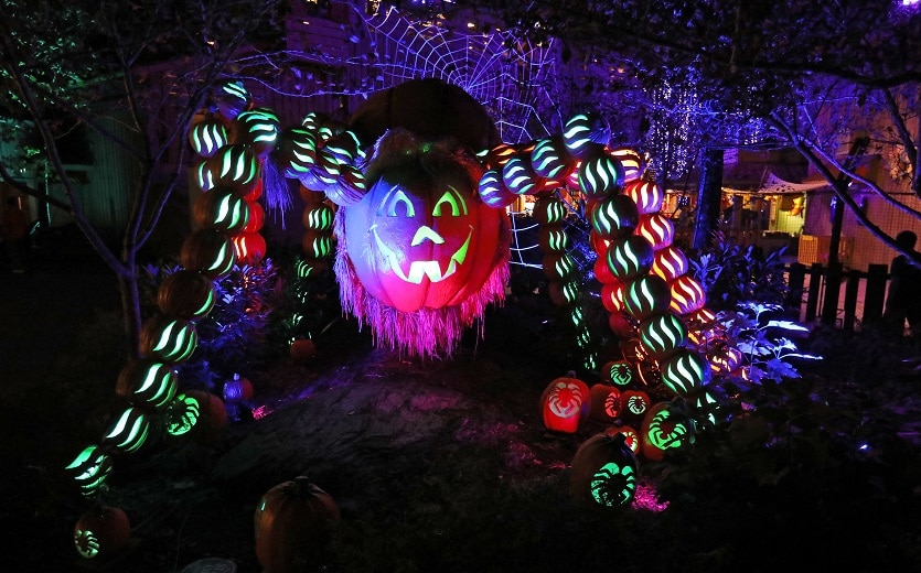 great-pumpkin-luminights-spider-835x520-1