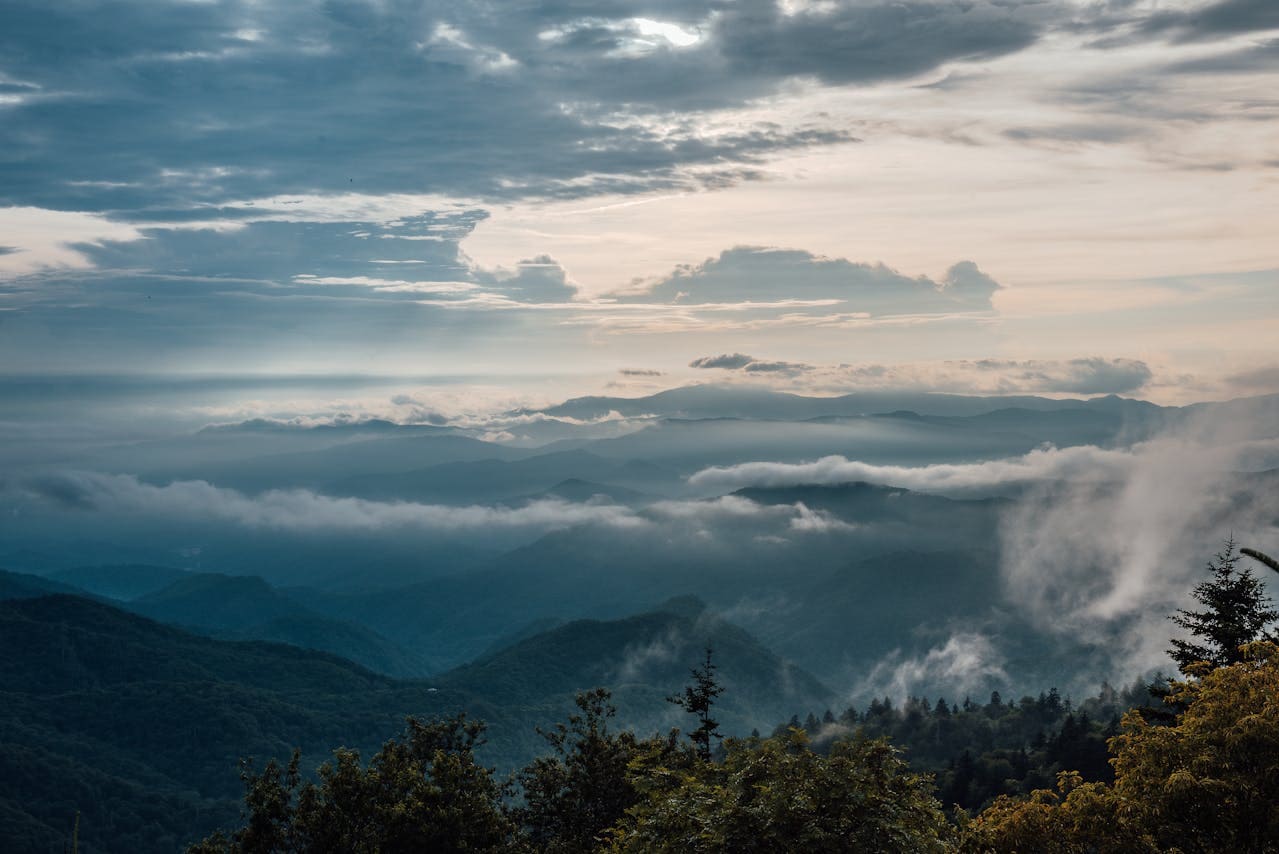 pexels-connorscottmcmanus-13258070 (1)