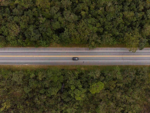 pexels-davidrado-10585993 (2) (1)