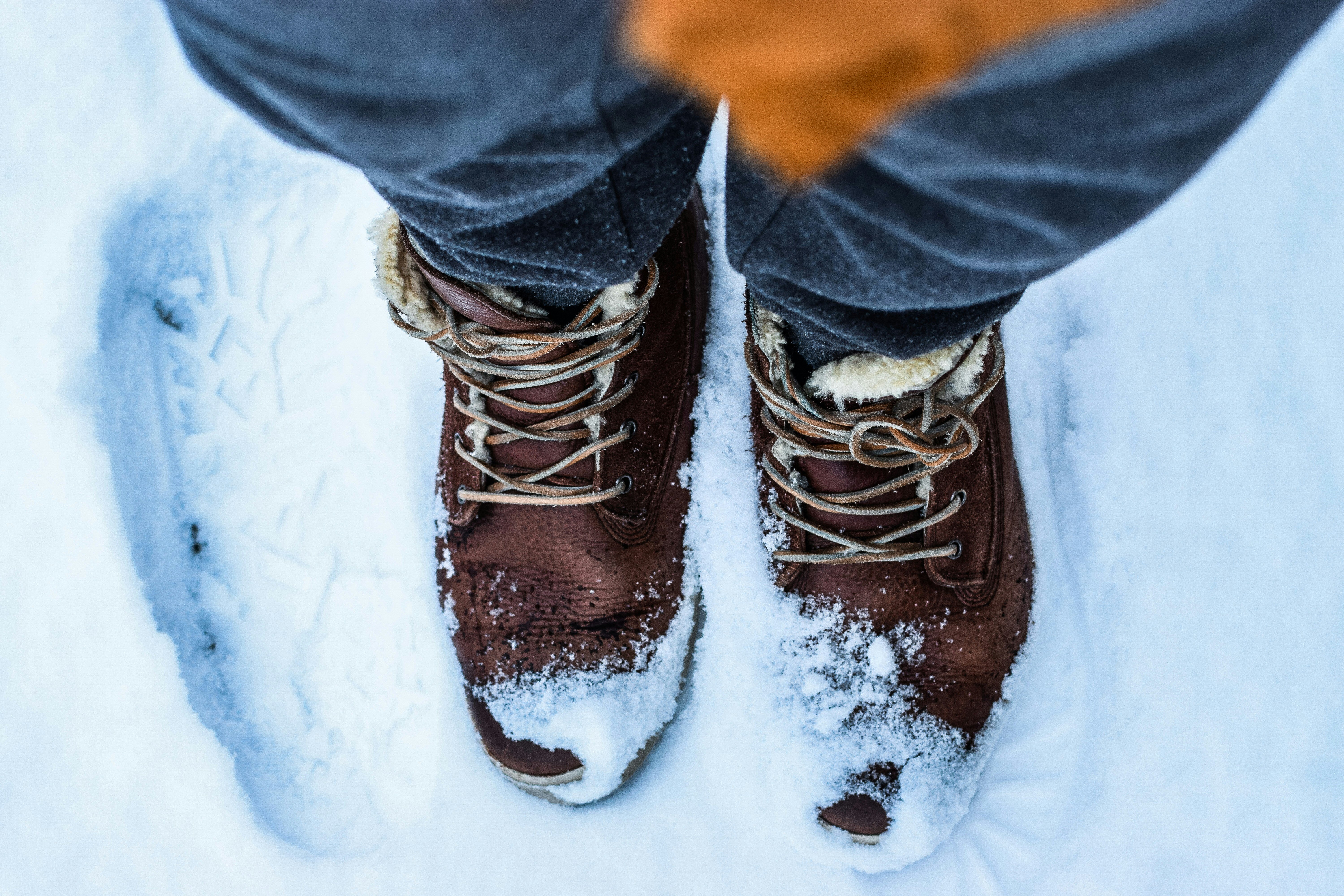 selwyn-van-haaren-S_Qx7UaWAgQ-unsplash