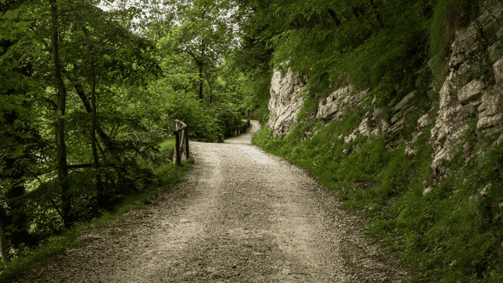 featured image 1